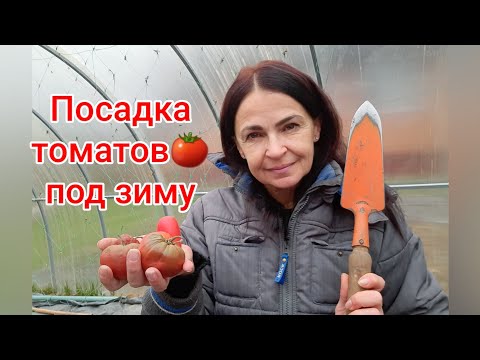 Видео: Посадка томатов под зиму и субботник на даче.#дача #посадка #субботник