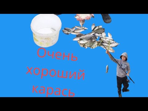 Видео: ОЧЕНЬ ХОРОШИЙ КАРАСЬ 👍