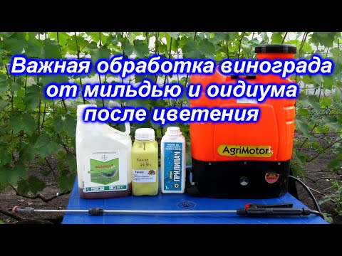 Видео: Обработка винограда после цветения