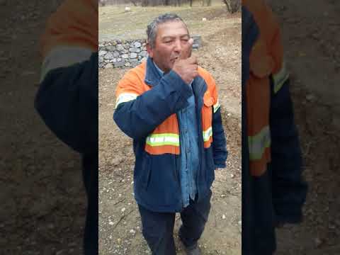 Видео: Холикули косатароши