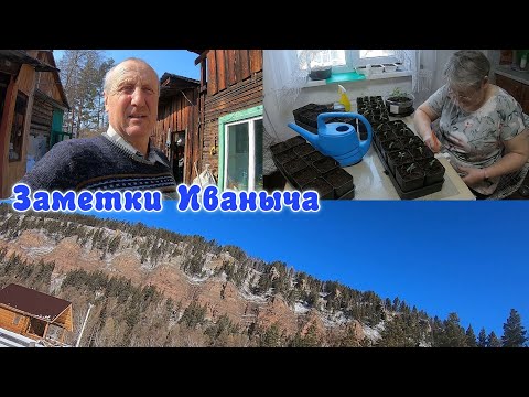 Видео: Обед как в школе, начинаем пикировку, корм для куриц