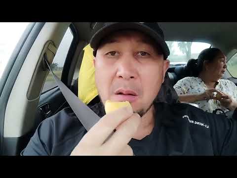 Видео: Жай айы ,☀️.Бассейин ,,.Роял брииз ".Эл кызыккан,, АРХАР"-эс алуу комплекси.🦌🦖🌴🪻👍🇰🇬