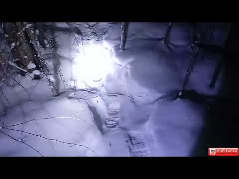 Видео: Шестая проверка петли на зайца, удачный день !