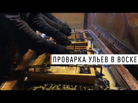 Видео: Проварка ульев в воско-парафине - Парк Плюс