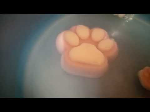 Видео: Как помыть Таба Лапку #мякиши