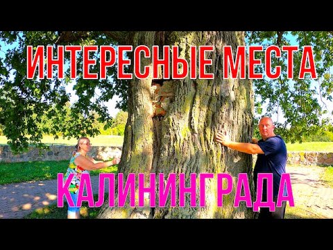 Видео: Интересные места Калининграда