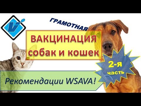 Видео: Вакцинация собак и кошек. Рекомендации WSAVA (2017). Часть 2.