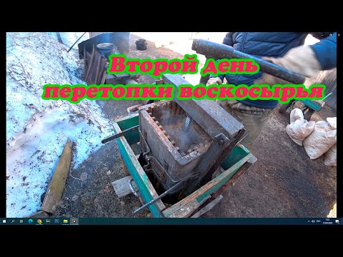 Видео: ВТОРОЙ ДЕНЬ ПЕРЕТОПКИ ВОСКА, А ЗАЯЦ ЗИМОВАЛ У ПАСЕКИ