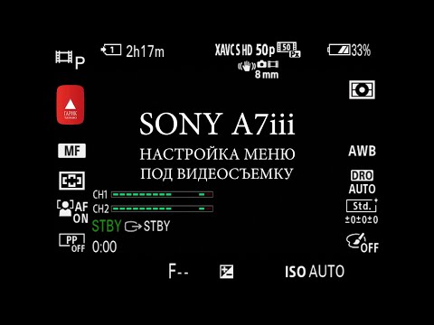 Видео: Sony A7iii Настройка меню под видеосъемку