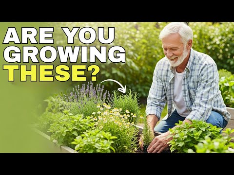 Видео: 15 лекарственных трав, которые должен выращивать каждый опытный садовод
