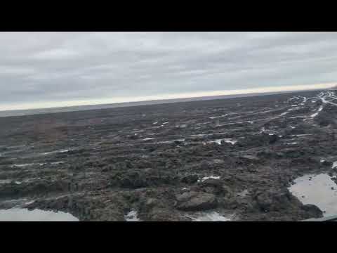 Видео: Сейчас нас танк вытянет 😁