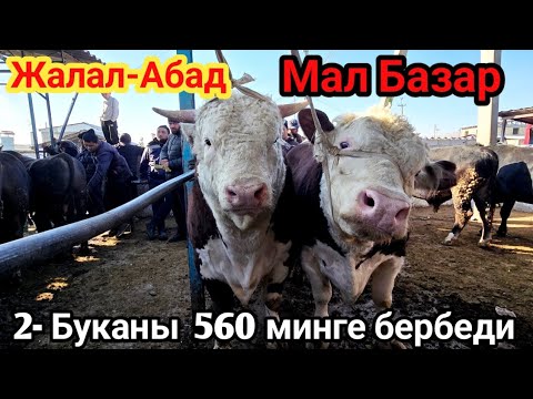 Видео: Мал Базар Жалал-Абад 