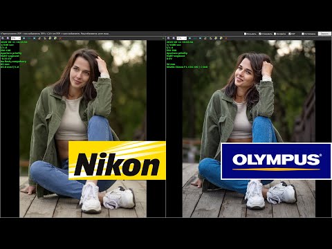 Видео: Nikon Z50 Vs Olympus 5M3 Vs Canon 1D-X ( Никонистам лучше не смотреть)