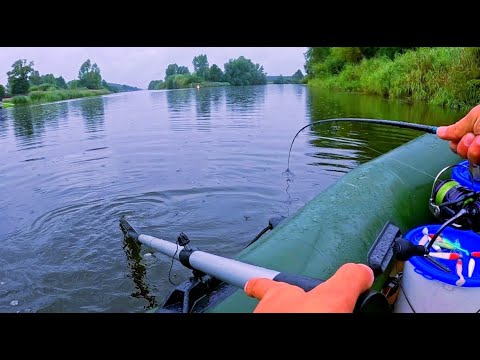 Видео: ОНА МОЖЕТ В ЖАРИТЬ! Ловля на спиннинг в последние дни лета!!!