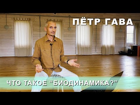 Видео: Пётр Гава: Что такое "Биодинамика?"