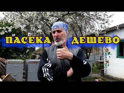 Видео: ПАСЕКА ДЕШЕВО