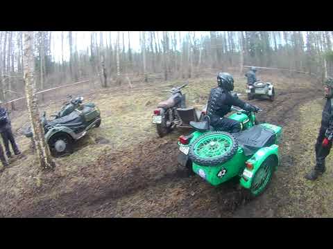 Видео: Кабаньи тропы 2022