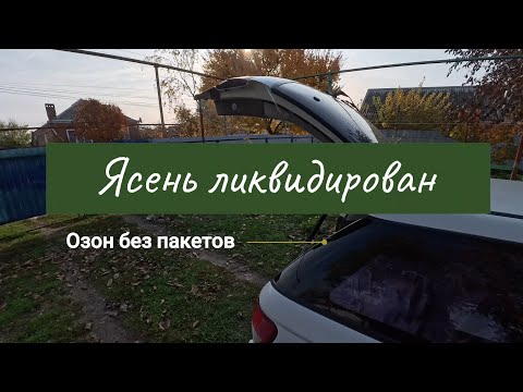 Видео: Ясень ликвидирован // ОЗОН не выдаёт пакетов