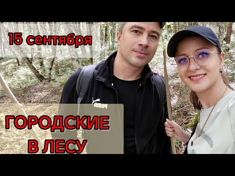 Видео: ПИКНИК В ЛЕСУ СБОР ГРИБОВ