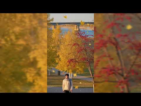 Видео: Борис Дерябин - Бабье лето