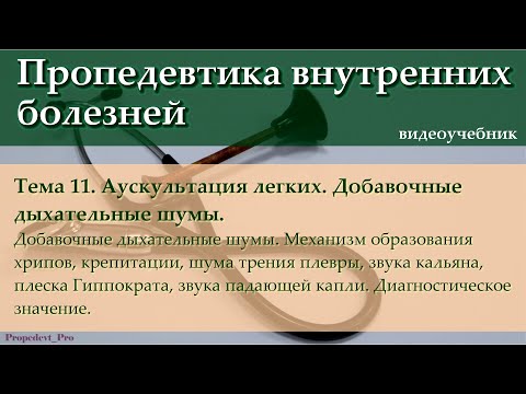 Видео: Тема 11. Аускультация легких. Добавочные дыхательные шумы.