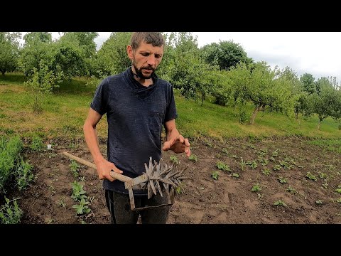 Видео: Самый простой способ избавится от крота и медведки. Без химии и практически бесплатно.