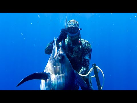 Видео: Подводная охота на марлина, ваху и скумбрию: от охоты до добычи, день 2