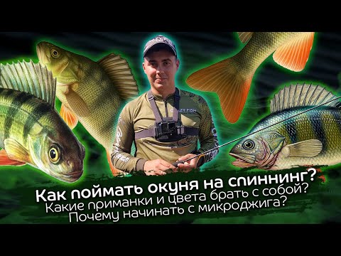 Видео: Как поймать первого окуня на спиннинг / Эффективные проводки / Зачем начинать с микроджига?