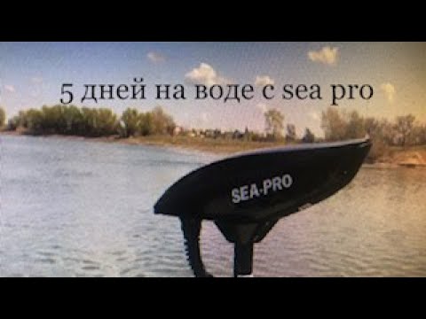 Видео: МОТОР ЯКОРЬ SEA PRO, НАШ ТЕСТ СПЕЦИАЛЬНО ДЛЯ ВАС.