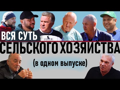 Видео: Почему фермеры теряют всё в этом году? Как выжить в сельском хозяйстве сегодня?