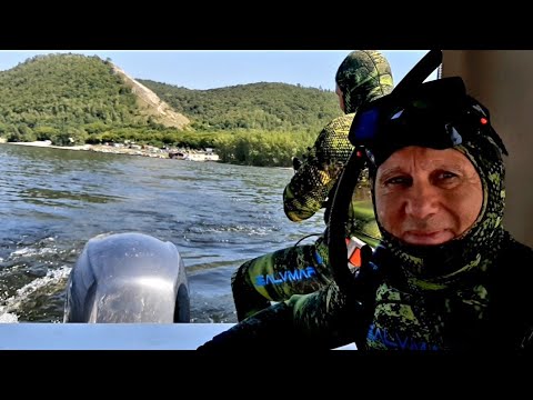 Видео: Отдых и Подводная Охота на Волге в Июле
