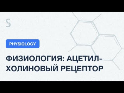Видео: USMLE Step 1 - Физиология: Строение ацетилхолинового рецептора