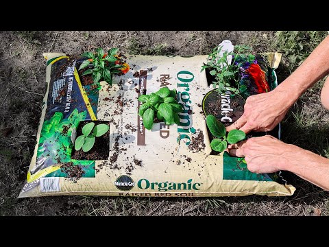 Видео: Что произойдет, если посадить ЦЕЛЫЙ САД всего в ОДНОМ МЕШКЕ земли?