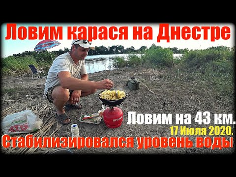 Видео: 17 Июля 2020. Ловим карася на Днестре.стабилизировался уровень воды. Ловим на 43 км.