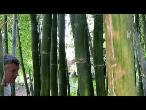 Видео: ГЛИНА И КАМЕНЬ   Леонид Федоров