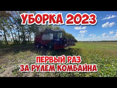 Видео: Началась уборка пшеницы! Работаю на комбайне Vector 410. Засуха погубила весь урожай