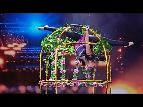 Видео: "Райская птица" Пластический этюд в клетке Калюжнова Анастасия