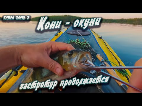 Видео: #7 Кони-окуни | Навстречу северным ветрам 2024