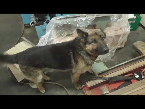 Видео: Нарізка за тиждень. Лєра, Роберто, Бруно.