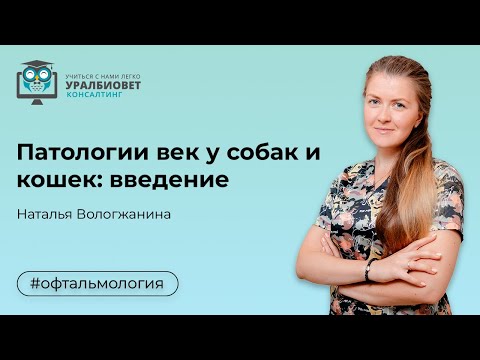 Видео: Патологии век у собак и кошек: вводная лекция.  Лектор Наталья Вологжанина. #убвк_офтальмология