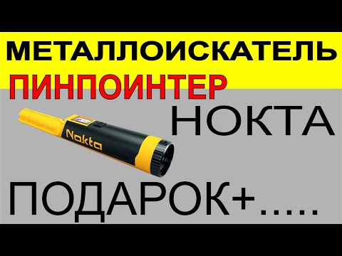 Видео: Пинпойнтер Nokta AccuPoint, выбор металлоискателя пинпоинтера, поиск монет и самородков.