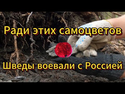 Видео: Поход за минералами Приладожья (Линнаваара,  Кителя, Гербец, Валкеалампи,  Бекк)