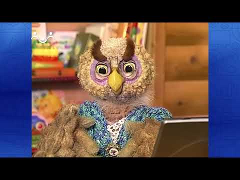 Видео: По секрету всему свету. Закладки