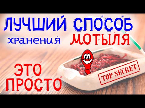 Видео: 🔝 ЛУЧШИЙ СПОСОБ ХРАНЕНИЯ МОТЫЛЯ ❗❗ ❗Как долго хранить мотыля дома⁉️ bloodworm storage