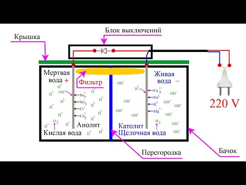 Видео: Живая и мертвая вода
