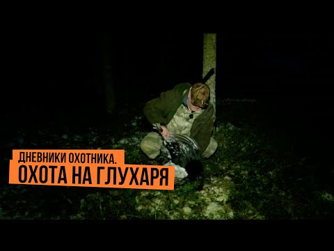 Видео: Охота на глухаря \ Дневники охотника