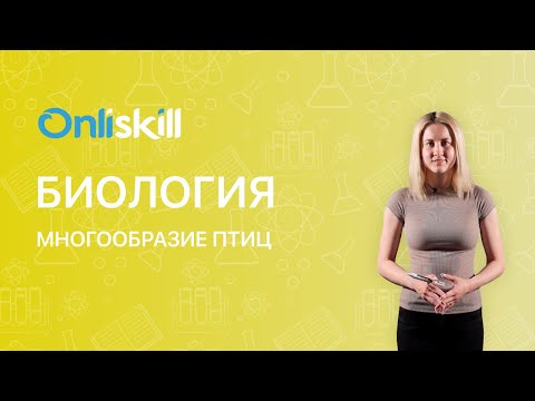 Видео: БИОЛОГИЯ 7 класс: Многообразие птиц