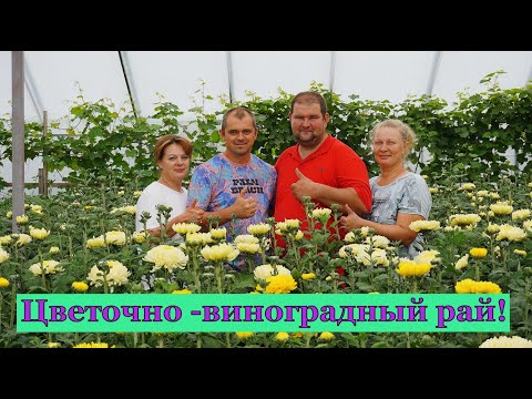 Видео: Виноградари Беларуси. В гостях у Александра и Натальи Дубовских . г. Гомель. . Часть 2.