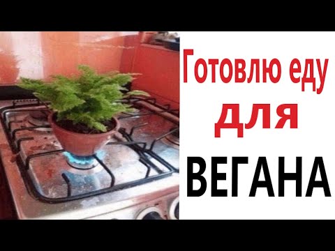 Видео: ПРИКОЛЫ! ГОТОВЛЮ ЕДУ ДЛЯ ВЕГАНА - МЕМЫ!!! Смешные видео – Доми шоу!