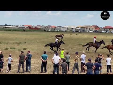 Видео: Скачки в Аксае 18.06.2023, 8000м